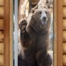 Дверь Престиж Фотопечать А061