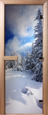 Дверь для саун с фотопечатью А081