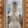 Дверь Престиж Фотопечать А063