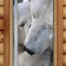 Дверь Престиж Фотопечать А066